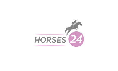 Lively 11 year old big pony is looking for a new skilled rider