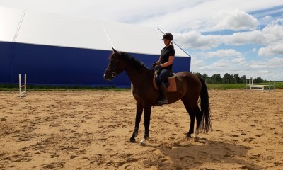 Celestya