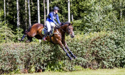 Brave and beautiful holsteiner mare!