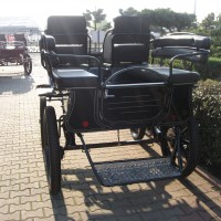Wagonetta