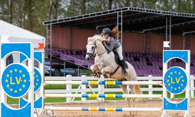 Dressage-showjumping pony