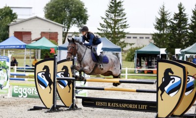 GP PONY DEAL OR NO DEAL FOR SALE