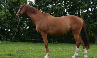 CUNDER