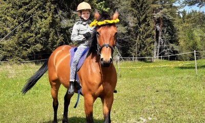 148cm pony mare from Verso de Paulstra (ALMÈ Z) competing at 100cm for sale!