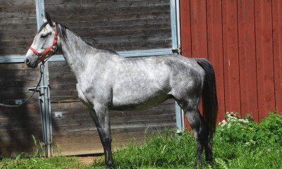 Person, 5a hall ruun