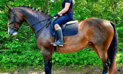 Laima