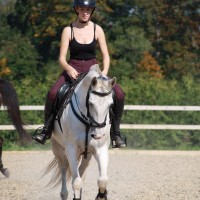 13- aastane kogemustega takistussõidu poni