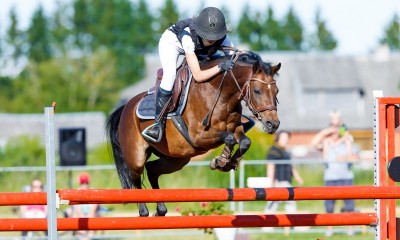 Pony MARIANA