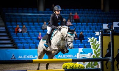 PONY FOR SALE!