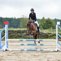 Super iseloomuha Rosetiponi