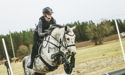 Lady-Ann; A really sweet mare for kids or amateurs!