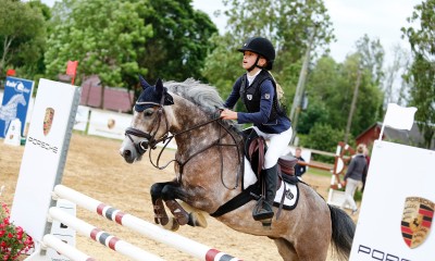 For sale very handsome and eye catching pony gelding - 8 y.o., 128 cm.